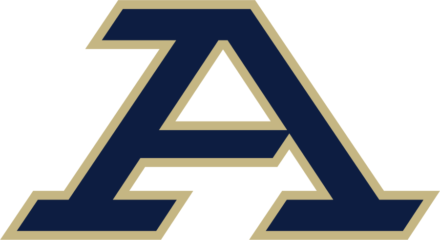 Akron Zips iron ons